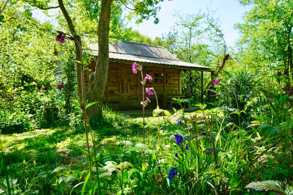 Cabin in the garden woodland
