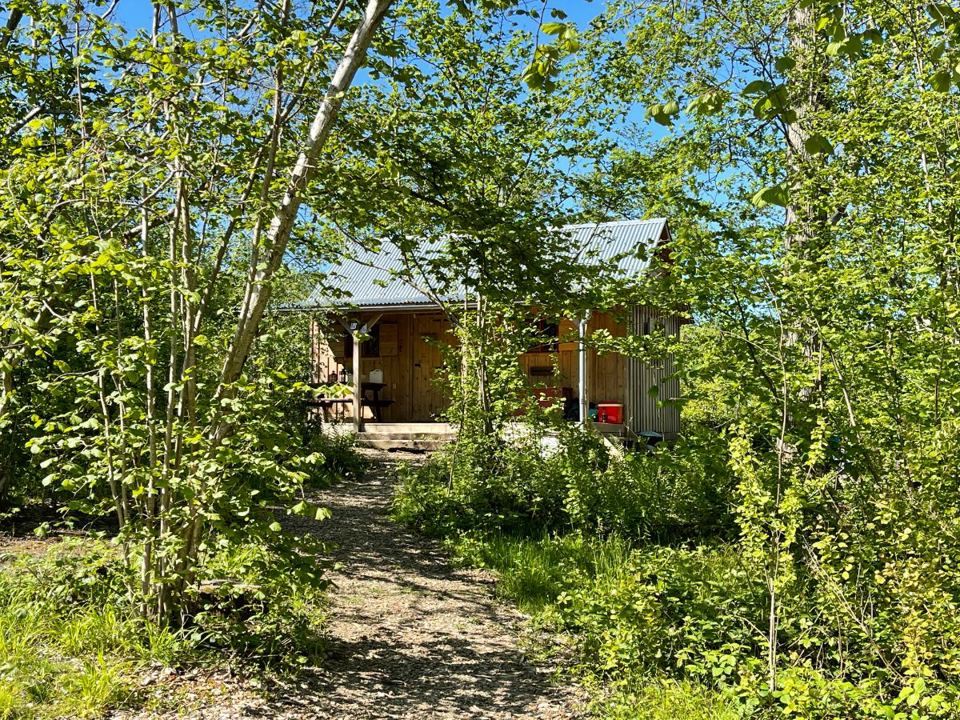 Path to a cabin through the trees