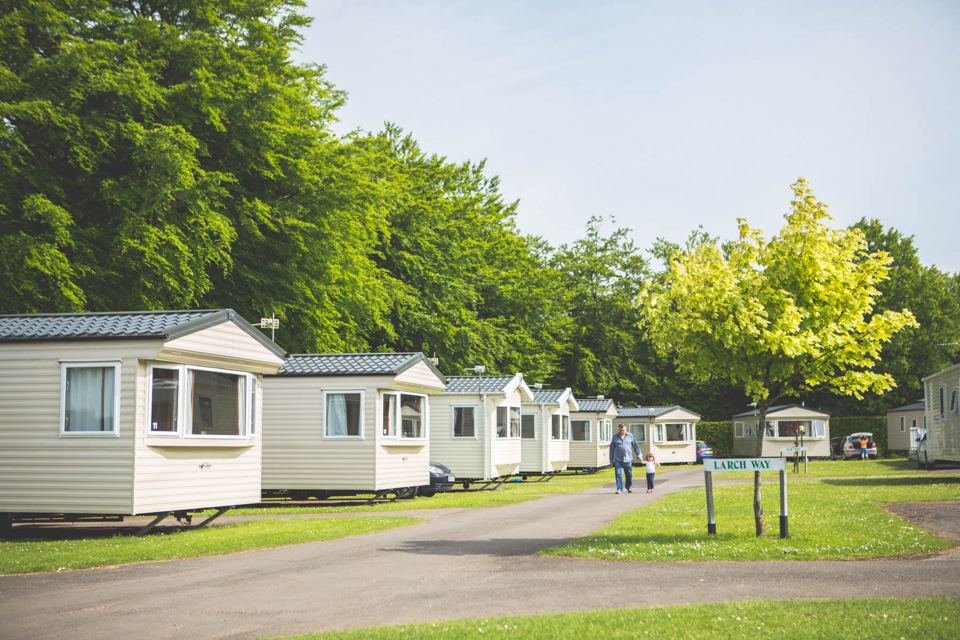 Static caravans along a tree-lined road