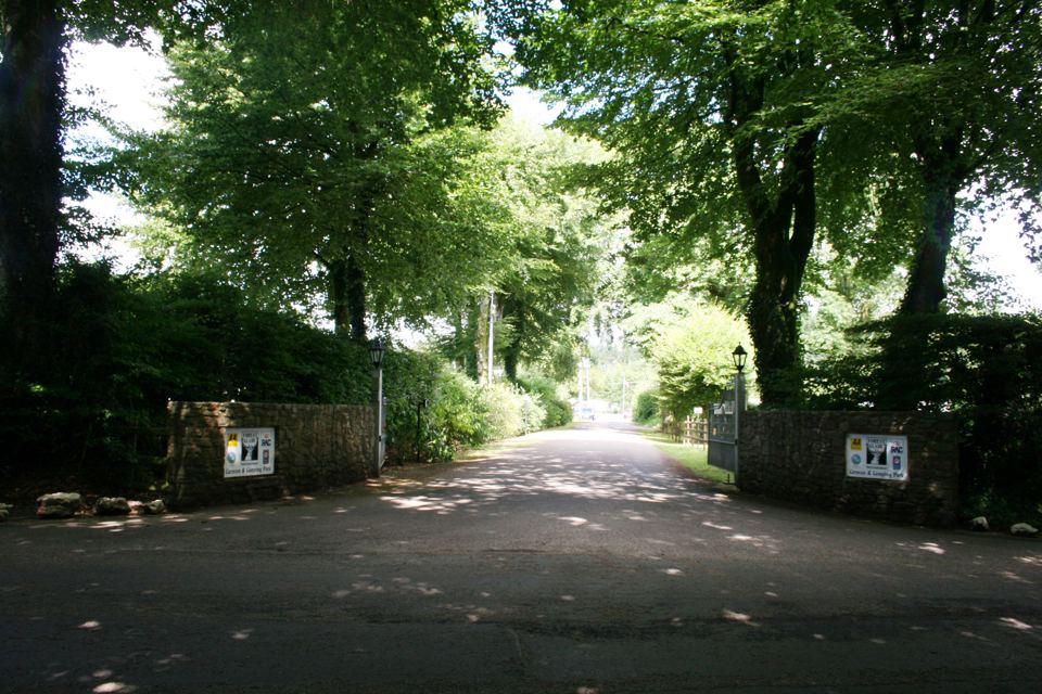 Tree-lined entrance road