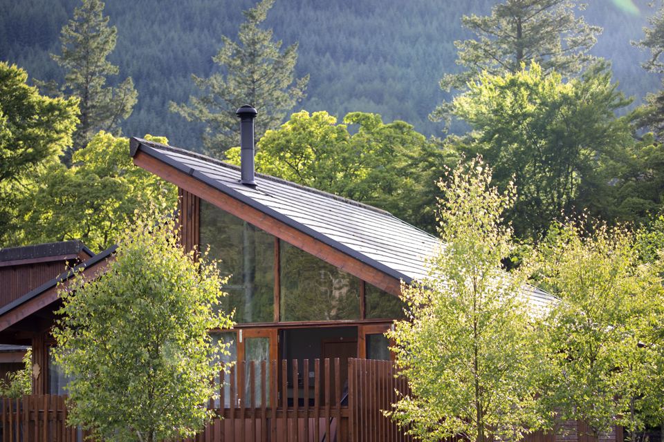 Cabin among trees