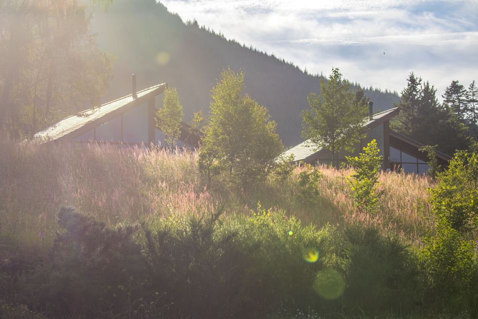 Cabins in long grass