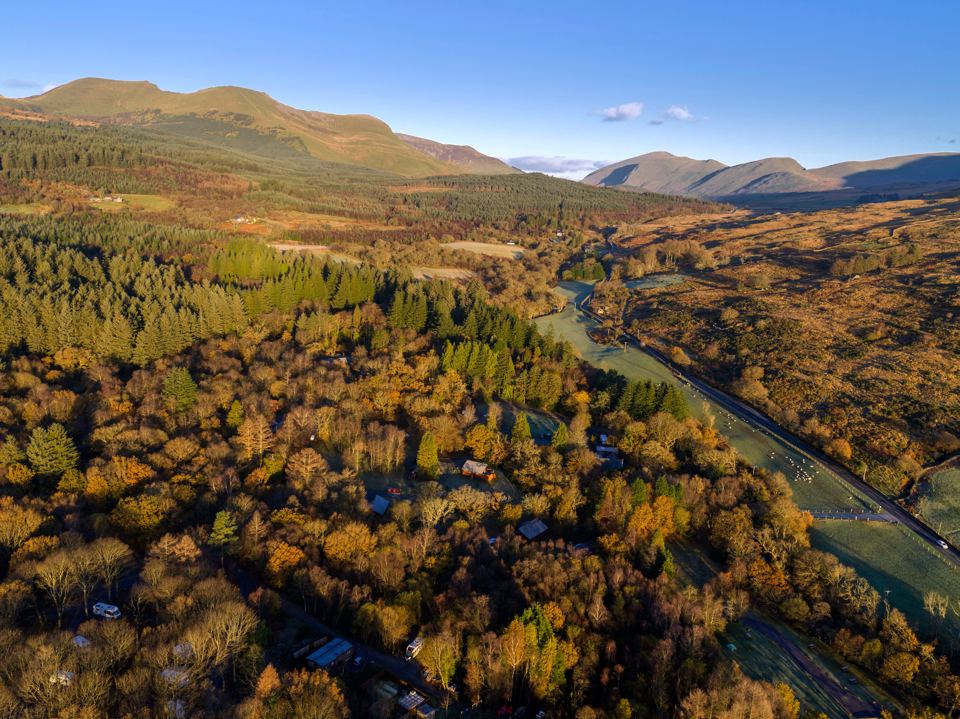 Cabins in the forest from above