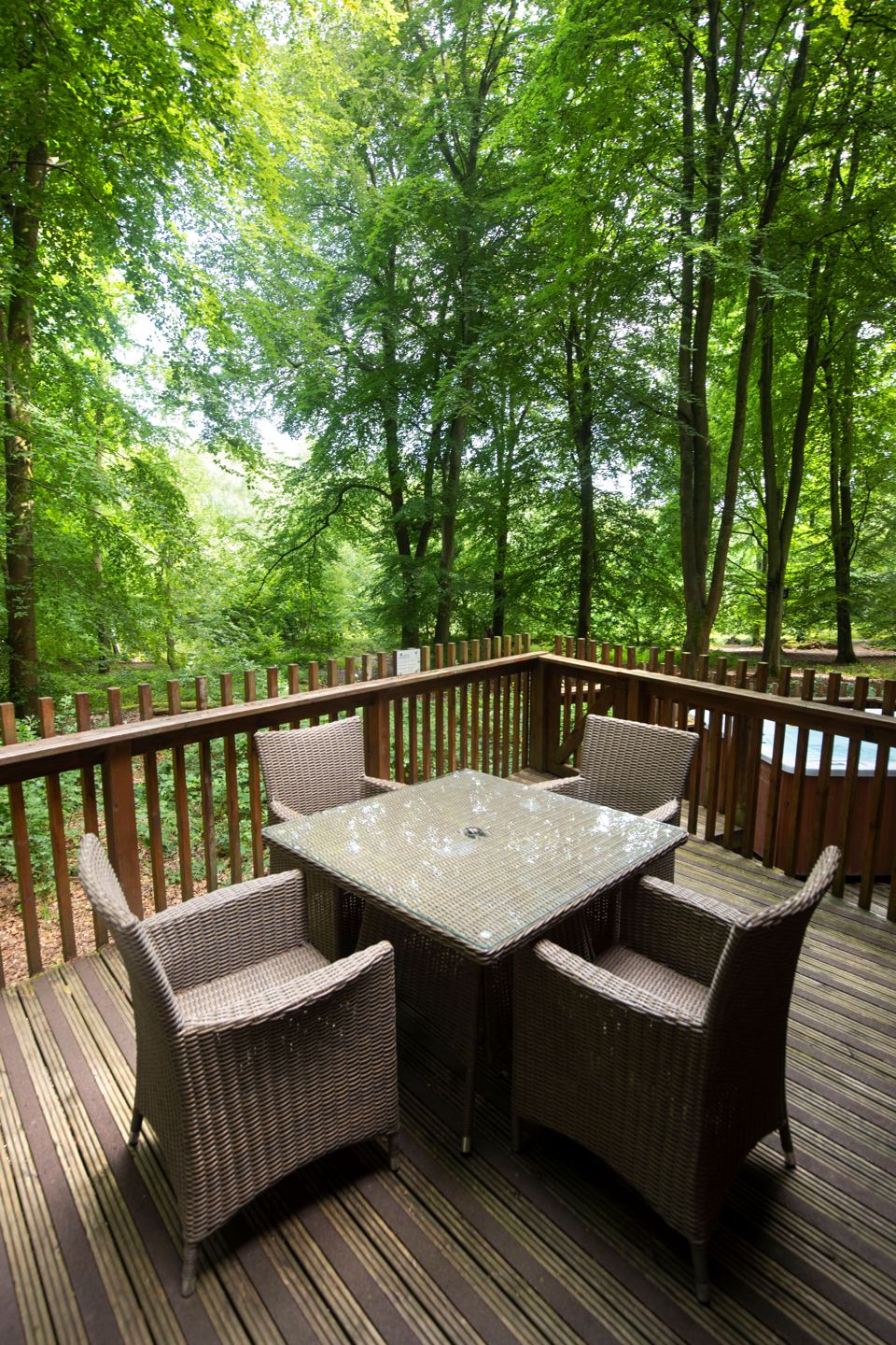 Dining set on the decking