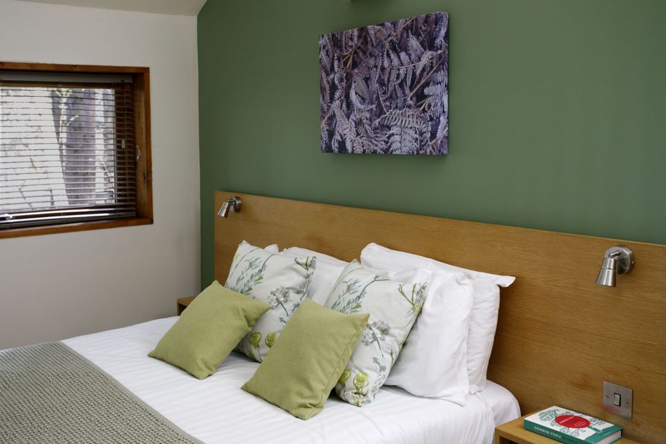 Bedroom with green wall