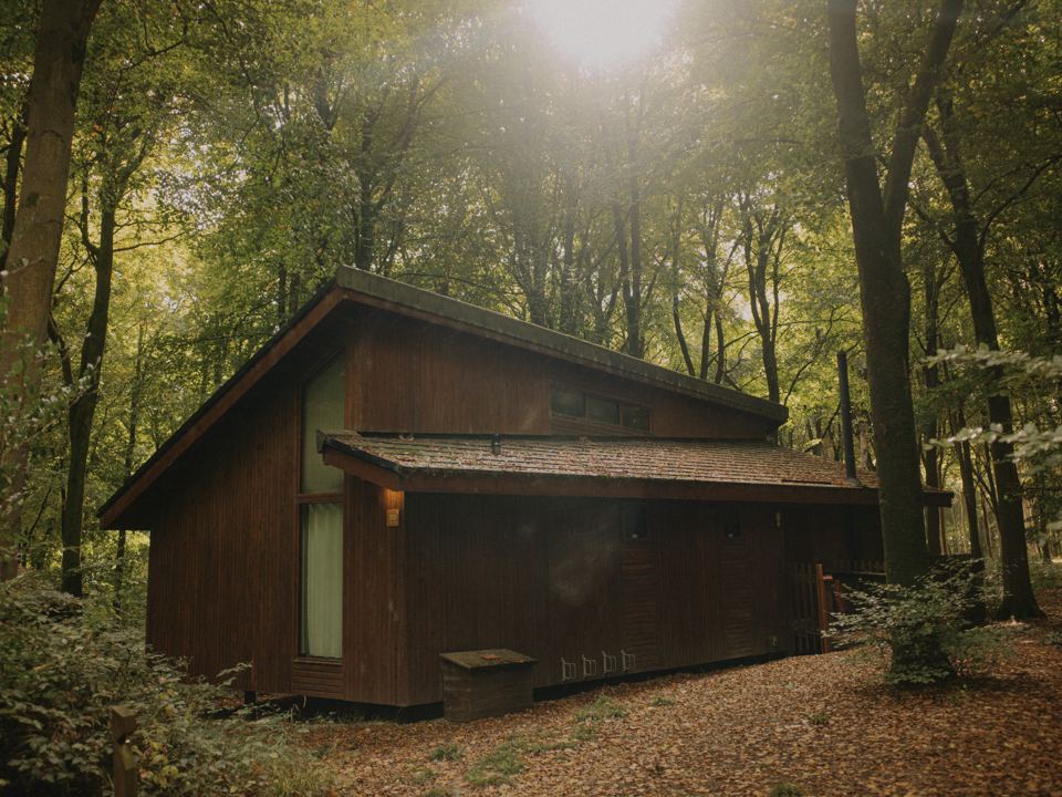 Cabin in the beech wood