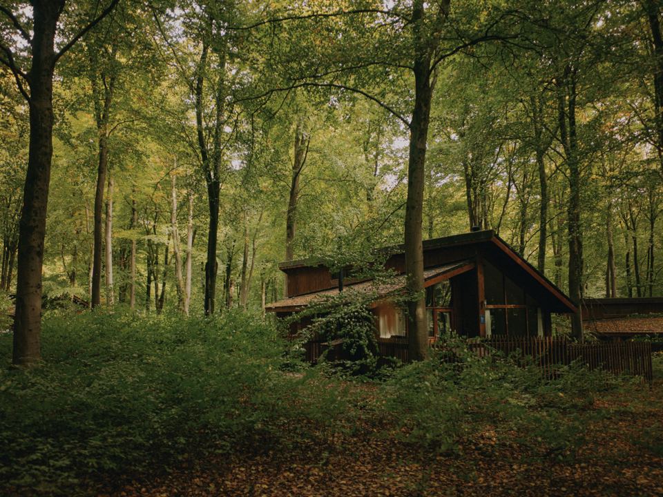 Cabins in the wood