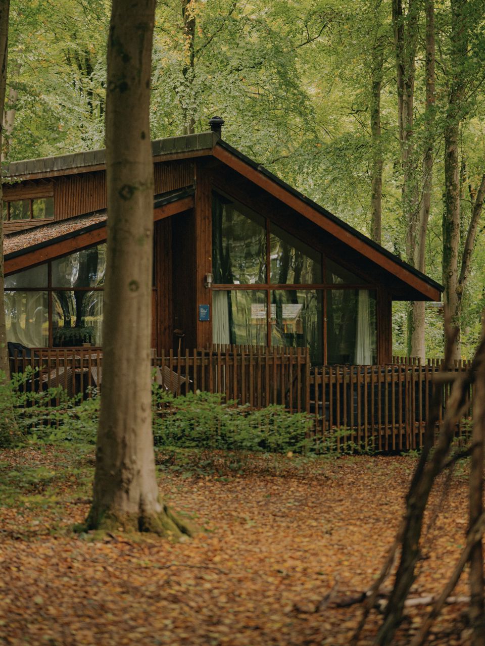 Cabin with glazed front