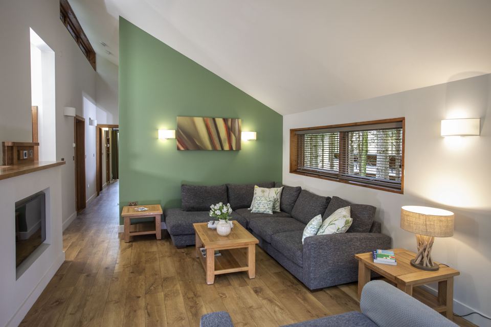 Cabin living room