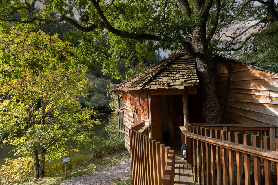 Treehouse cabin by a rope bridge