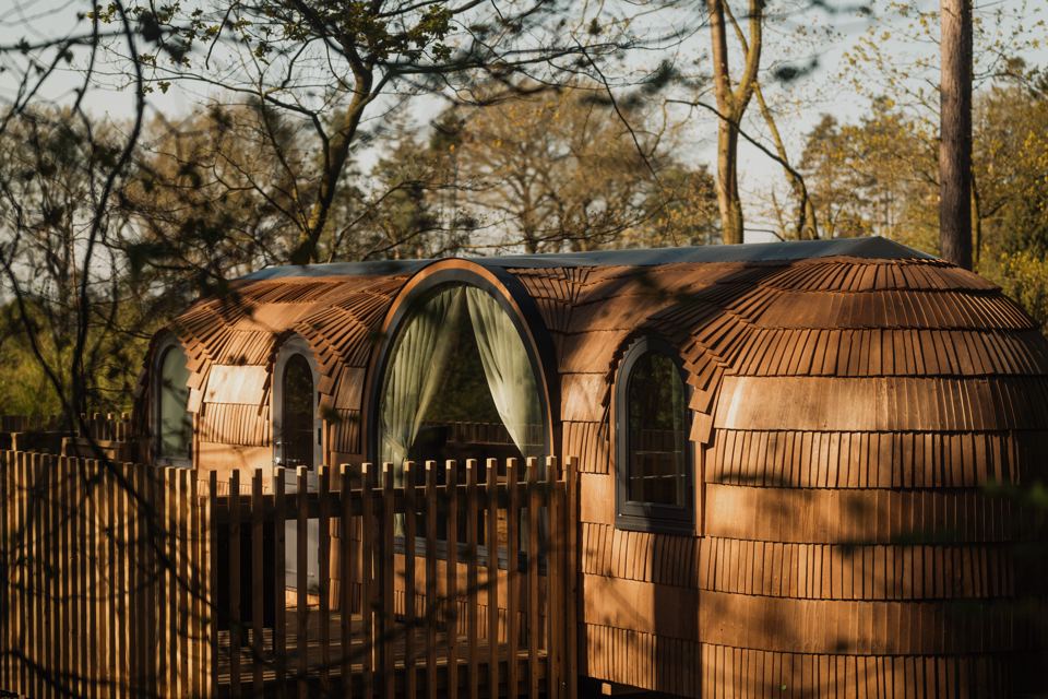 Cabins among the trees