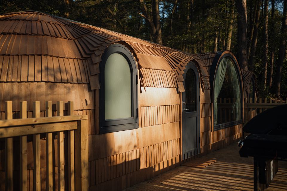 Timber cabin in the forest
