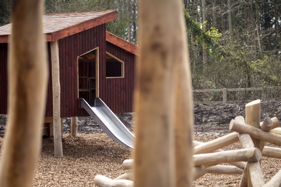 Forest play area