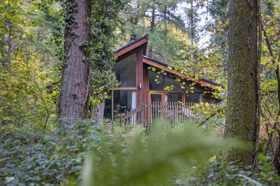 Cabin among the trees