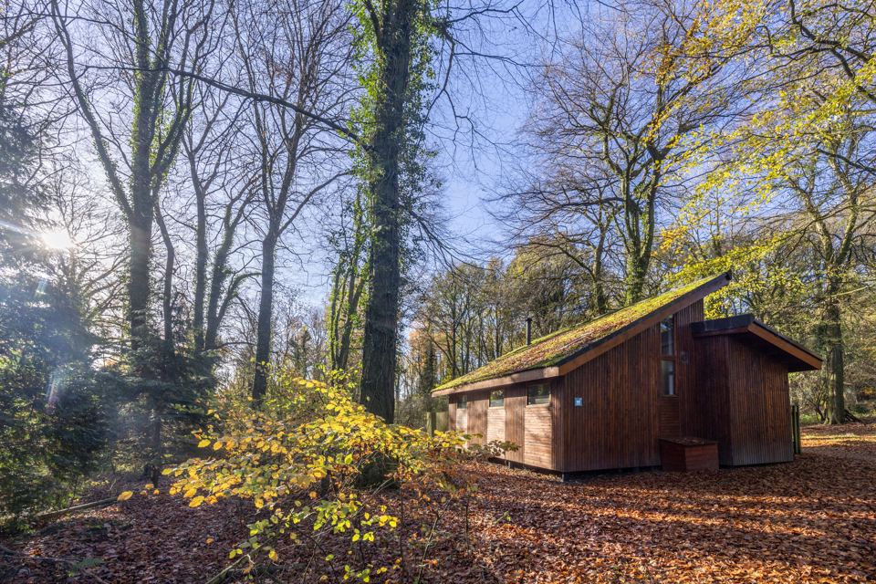 Cabin in autumn woods
