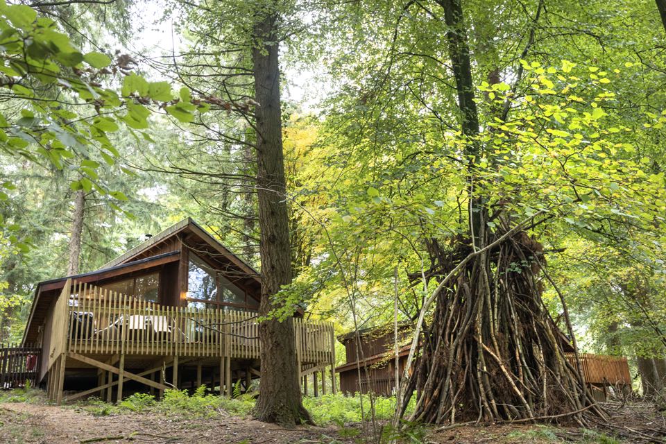 Cabin on stilts in trees