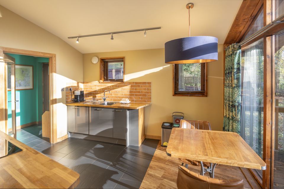 Cabin kitchen
