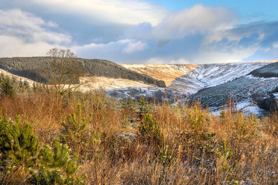Hills in winter light