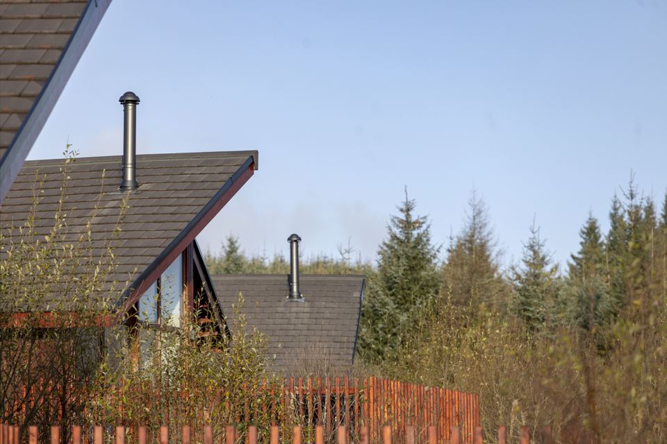 Cabin roofline in the glade