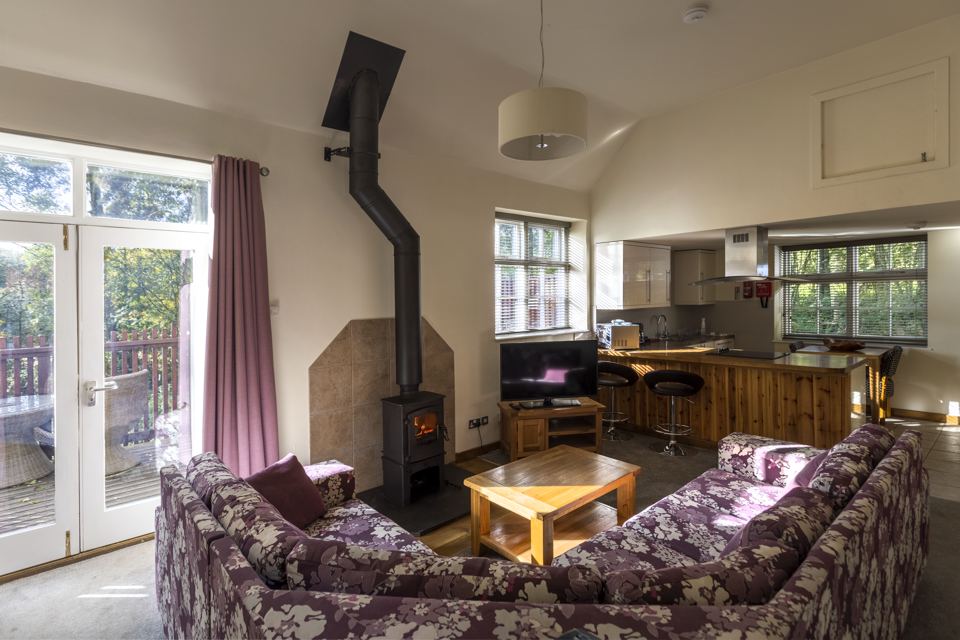 Living room with log burner