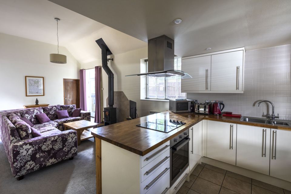 Cabin kitchen and lounge