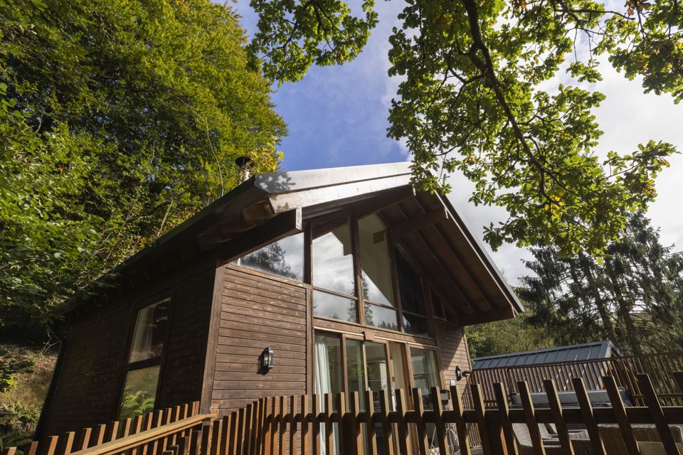 Cabin among the trees