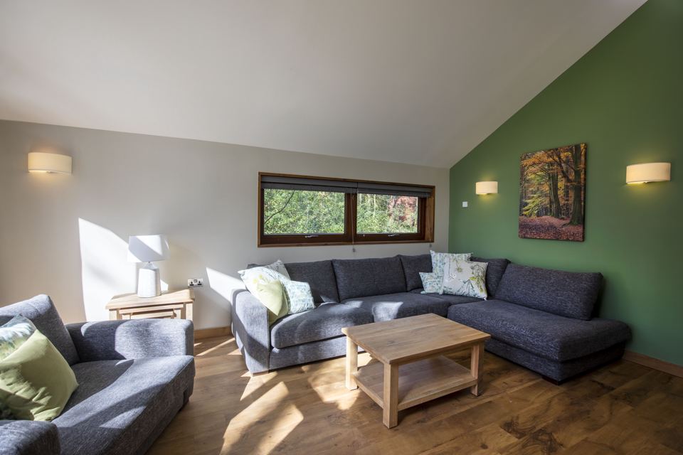 Cabin living room