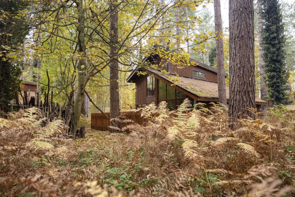Cabin in autumn woodland