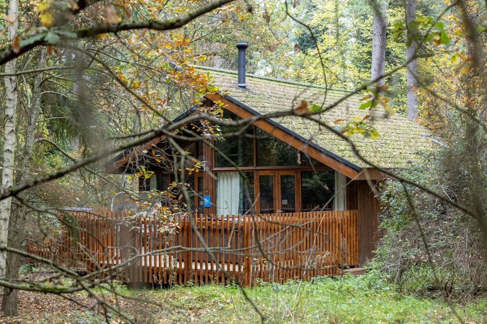 Log cabin among the trees