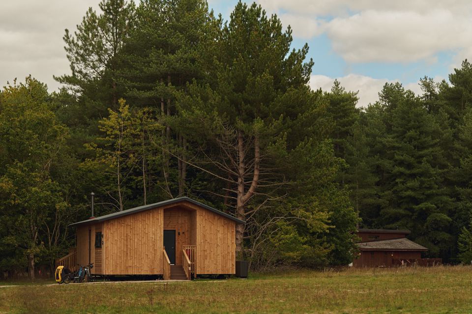 Timber cabin by a woodland clearing