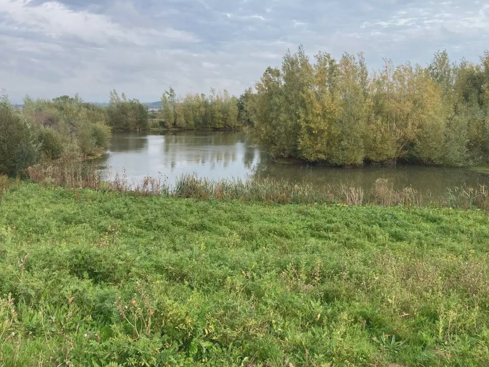 Meadow running down to the lake