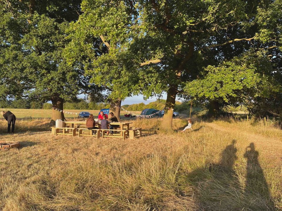 Picnic tables under the oaks