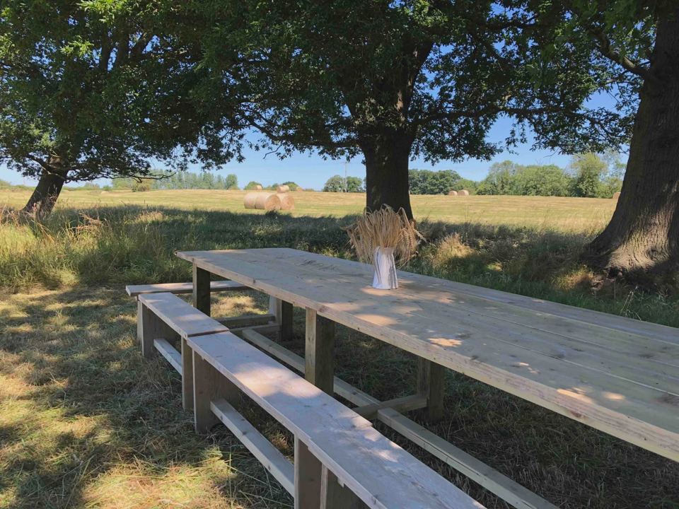 Long communal table under oaks