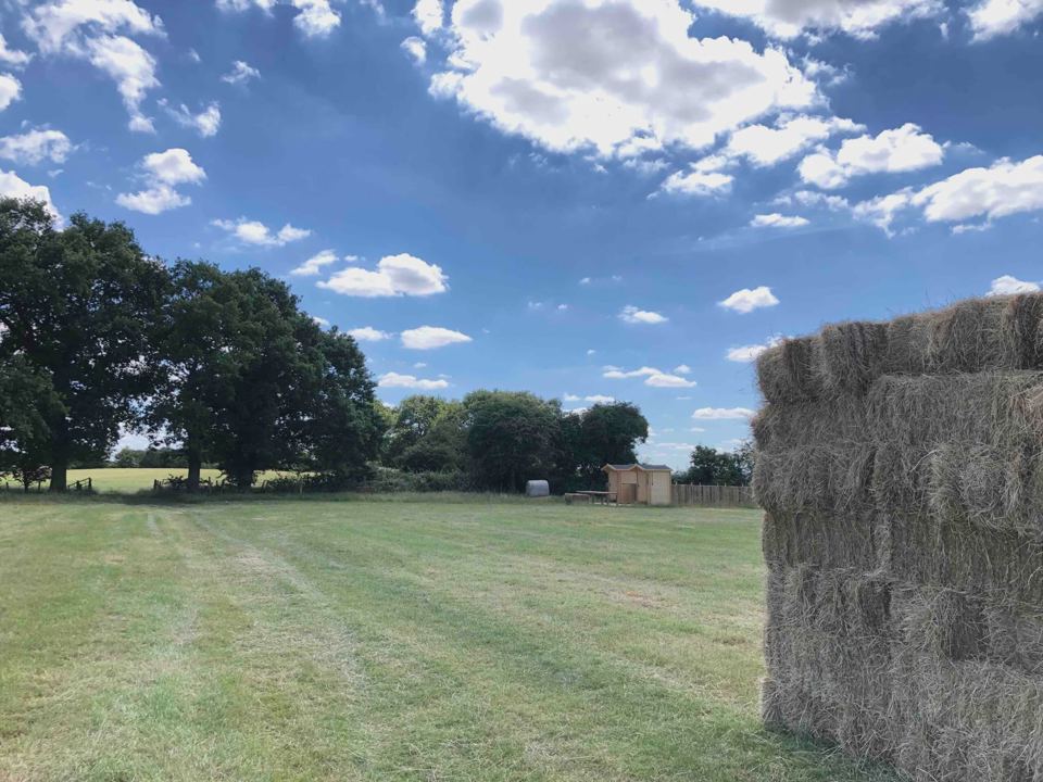 Mown camping field