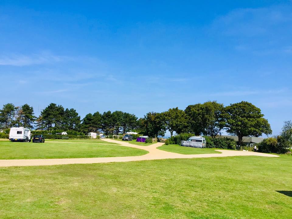 Open grass with vans among trees