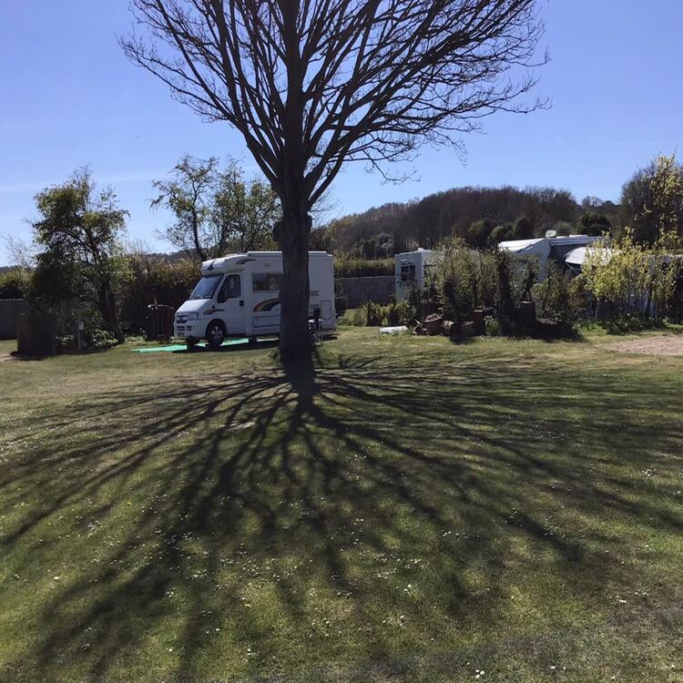 Motorhome pitched under a tree