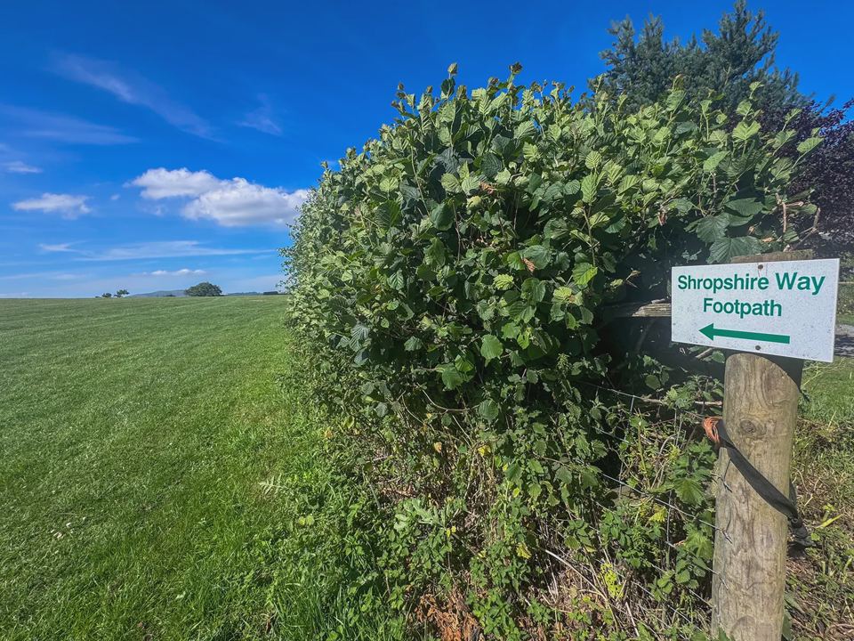 Shropshire Way footpath sign