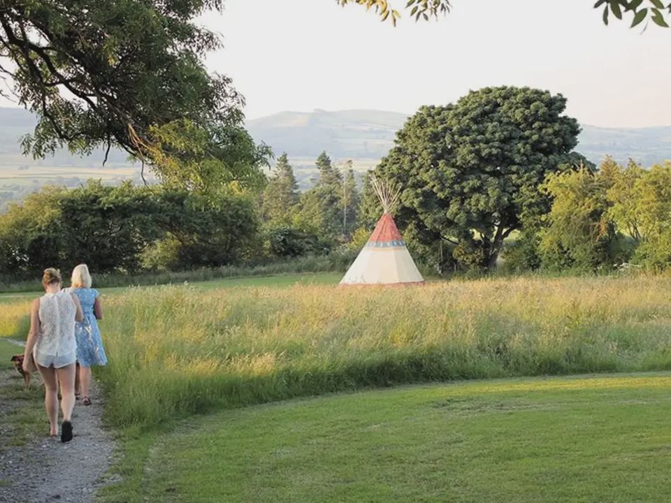 Tipi in the meadow at dusk