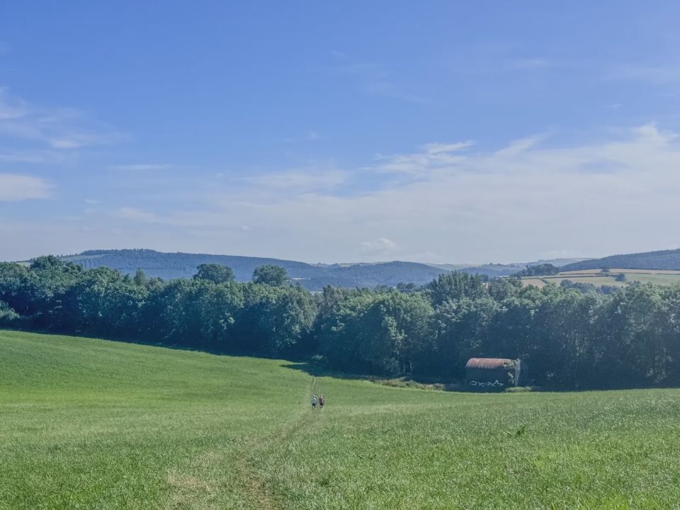 Hills seen from the site