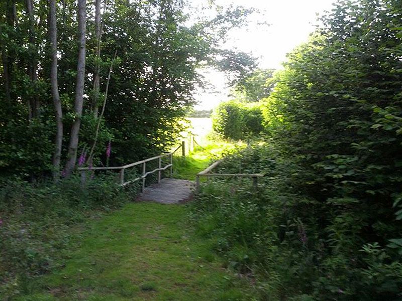 Footbridge on the farm trail