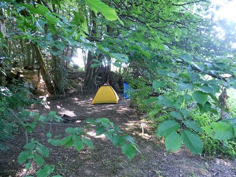 Tent in the woodland