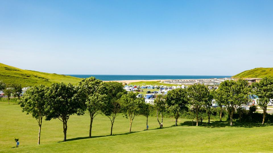 Grass and sea view over the park