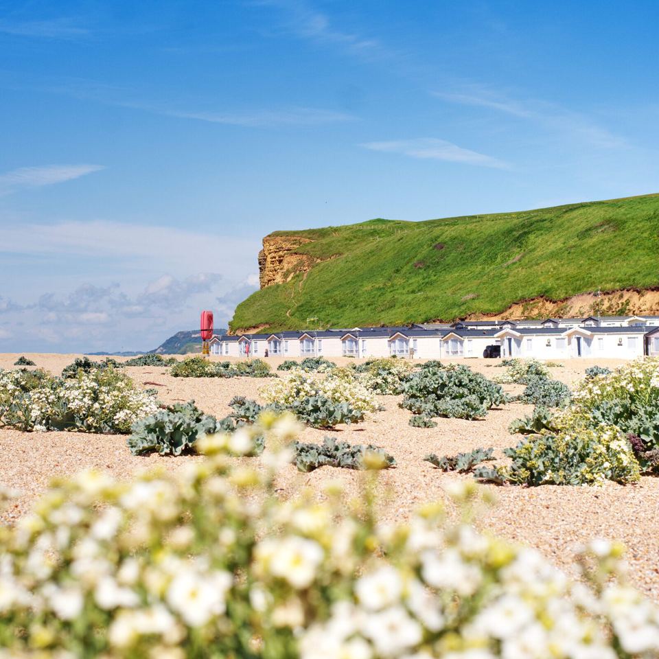 Caravans by the shingle beach