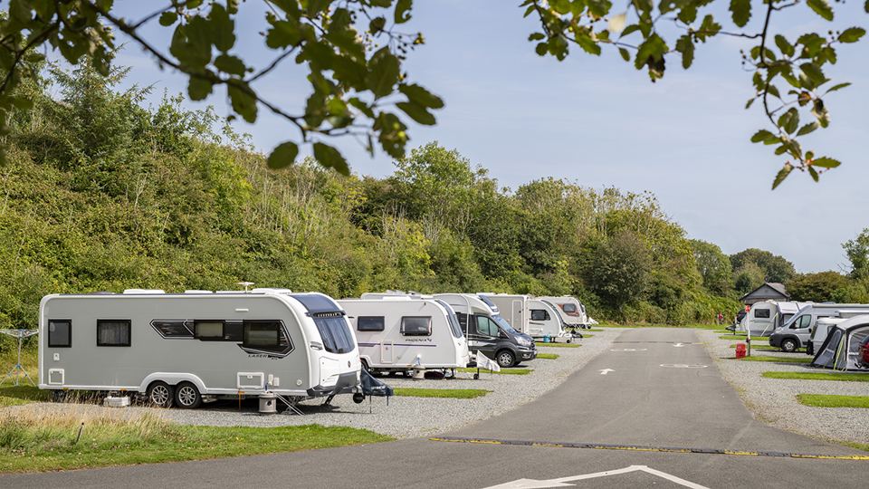 Hardstanding pitches below the trees
