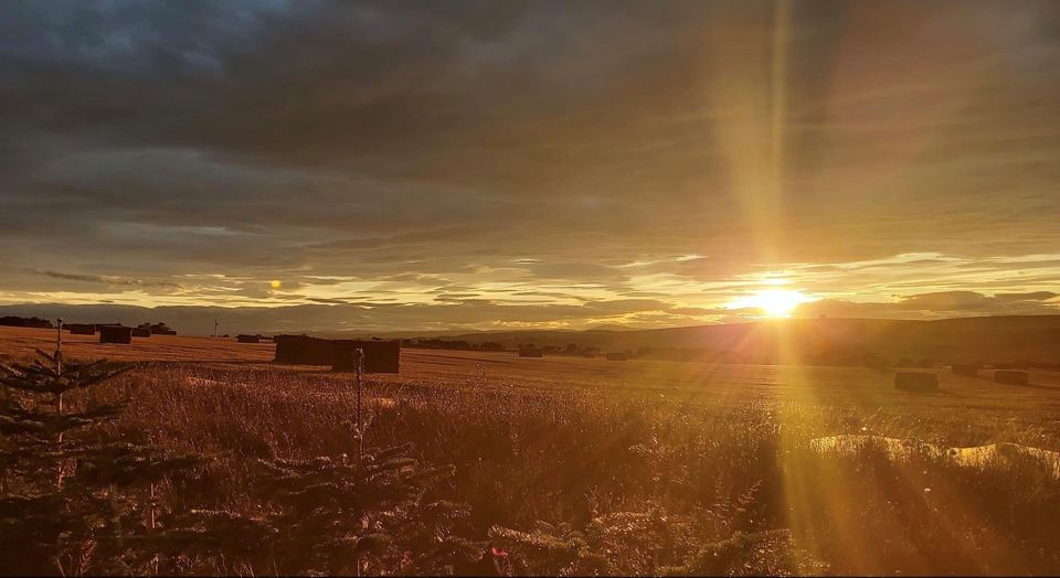 Sunset over the fields