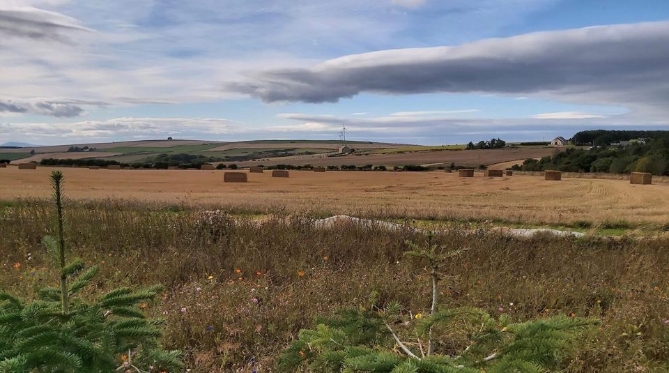 Farmland and hay bales