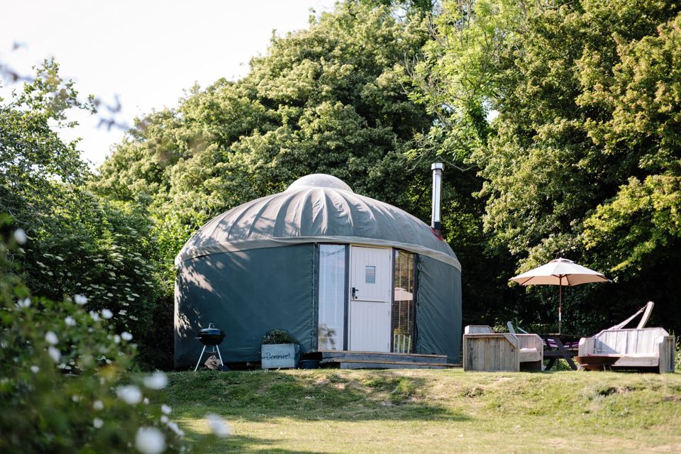 Yurt among the trees