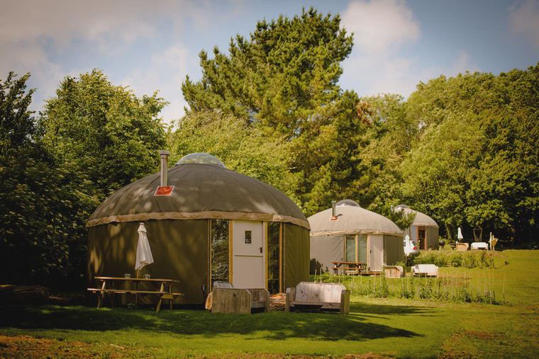 Yurts on the meadow