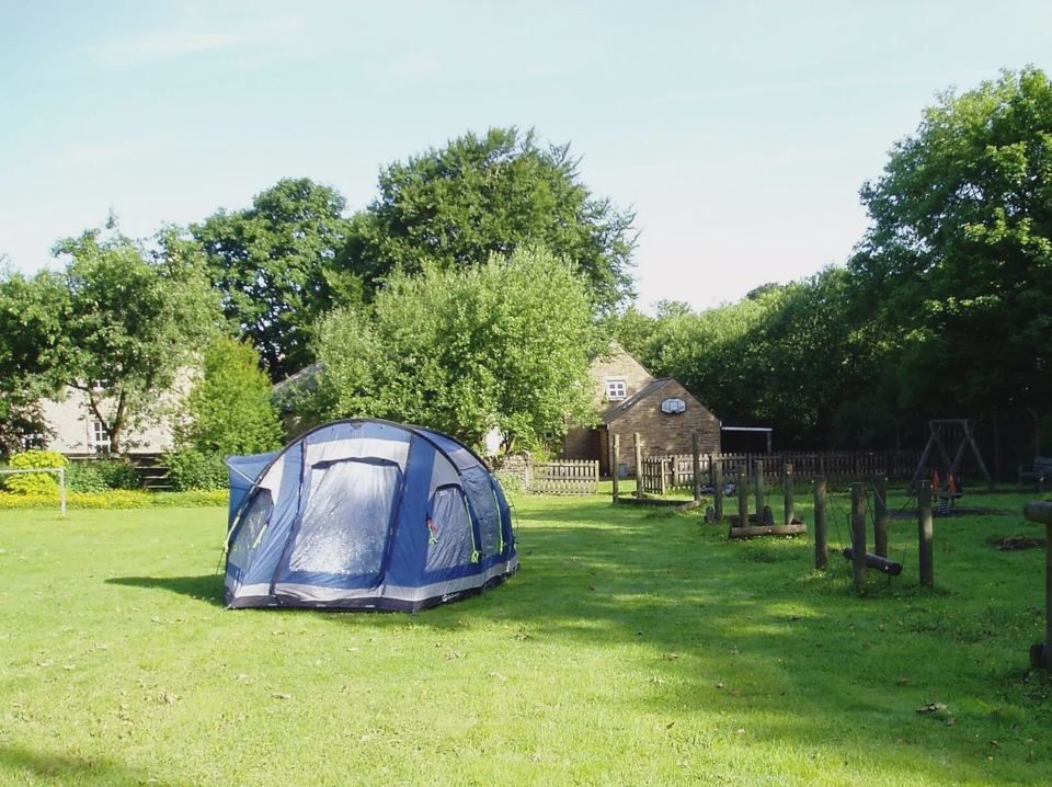Dome tent on the camping field