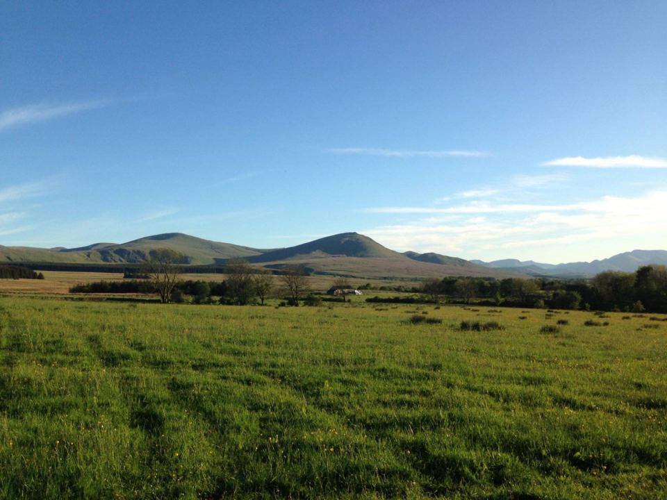 Open fields under a clear sky